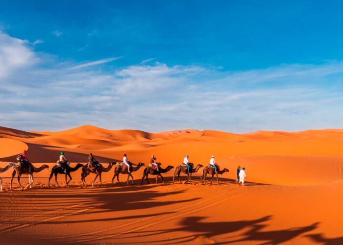 excursion desierto marrakech